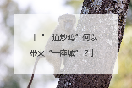 “一道炒鸡”何以带火“一座城”？